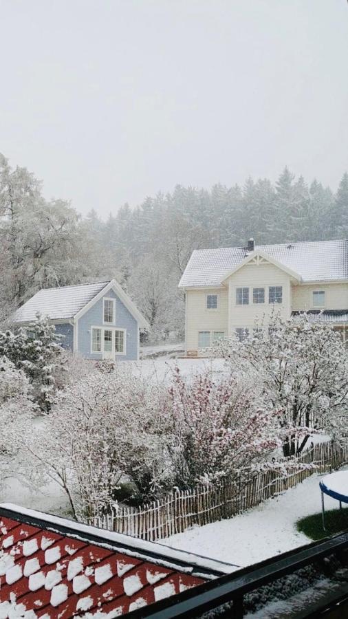 Haus Madita Breitnau Kültér fotó